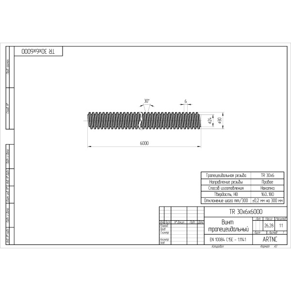TR30x6x6000(C15)